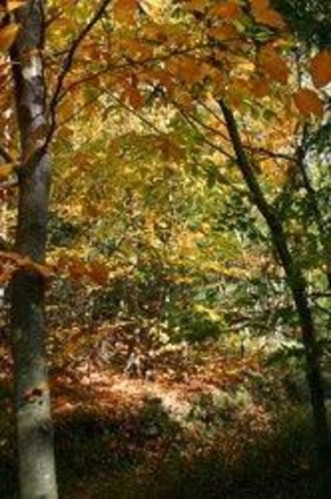 Sport-/Freizeitangebot Haus Vierjahreszeiten