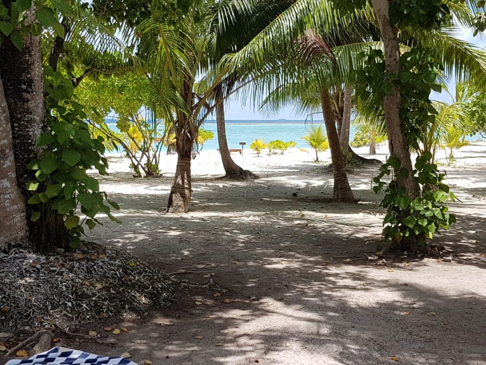 Strand Adaaran Select Meedhupparu Island Resort - Premium All Inclusive