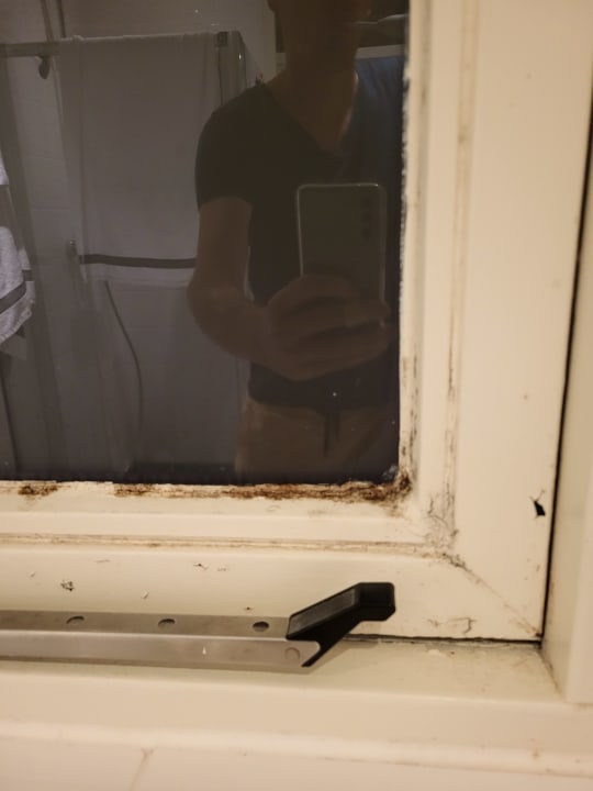 Zimmer Ferienpark Hof van Saksen