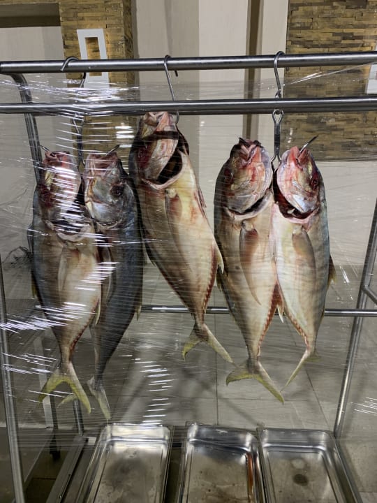 Gastro Pickalbatros Sea World Resort - Marsa Alam