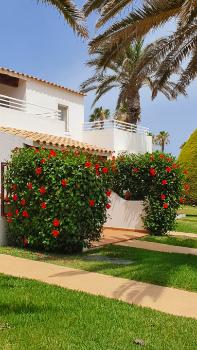 Gartenanlage Grupotel Aldea Cala'n Bosch