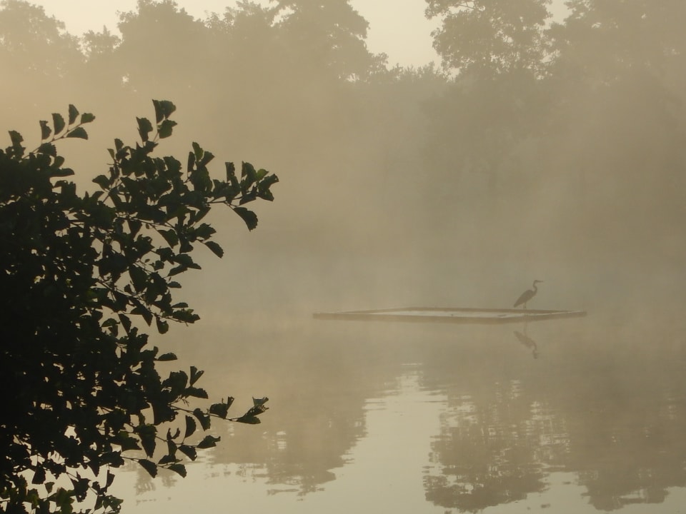 Ausblick Camping Engelbert (Groningen)