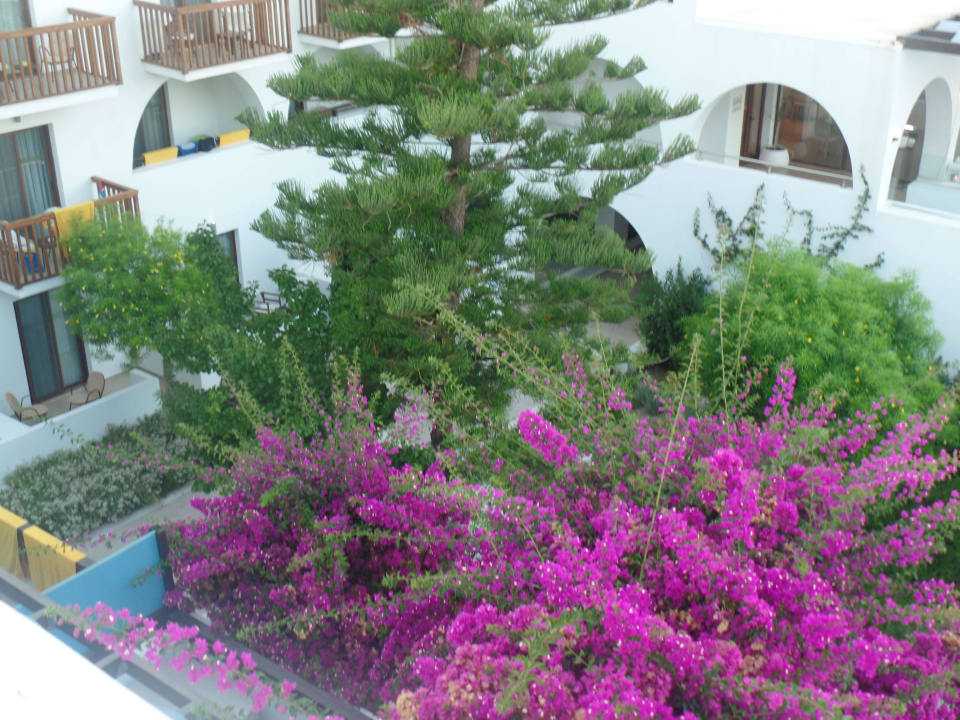 Gartenanlage TUI BLUE Oceanis Beach and Spa Resort