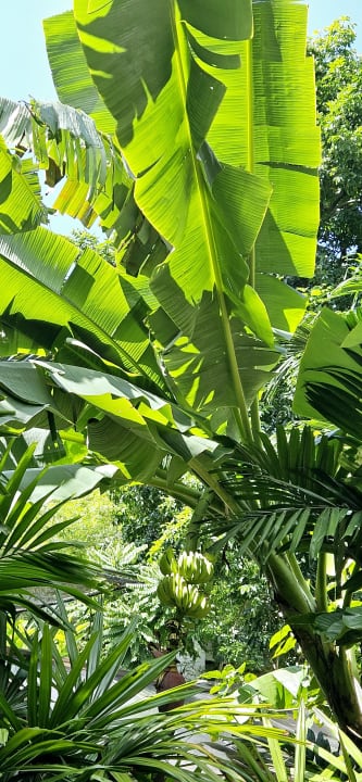 Gartenanlage Woodlands Hotel & Resort