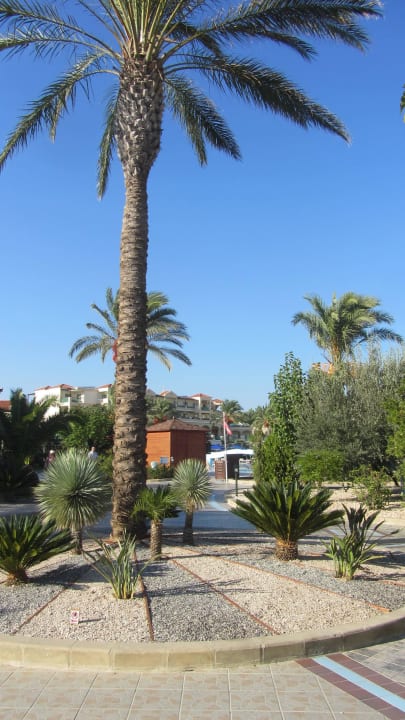 Weg Richtung Haupthaus Lindos Princess Beach Resort & Spa