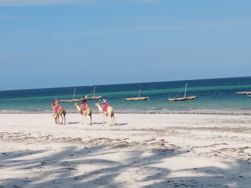 Strand Neptune Village Beach Resort & Spa