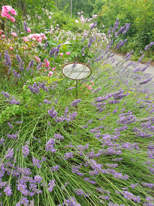 Außenansicht Frauenpension Arleta