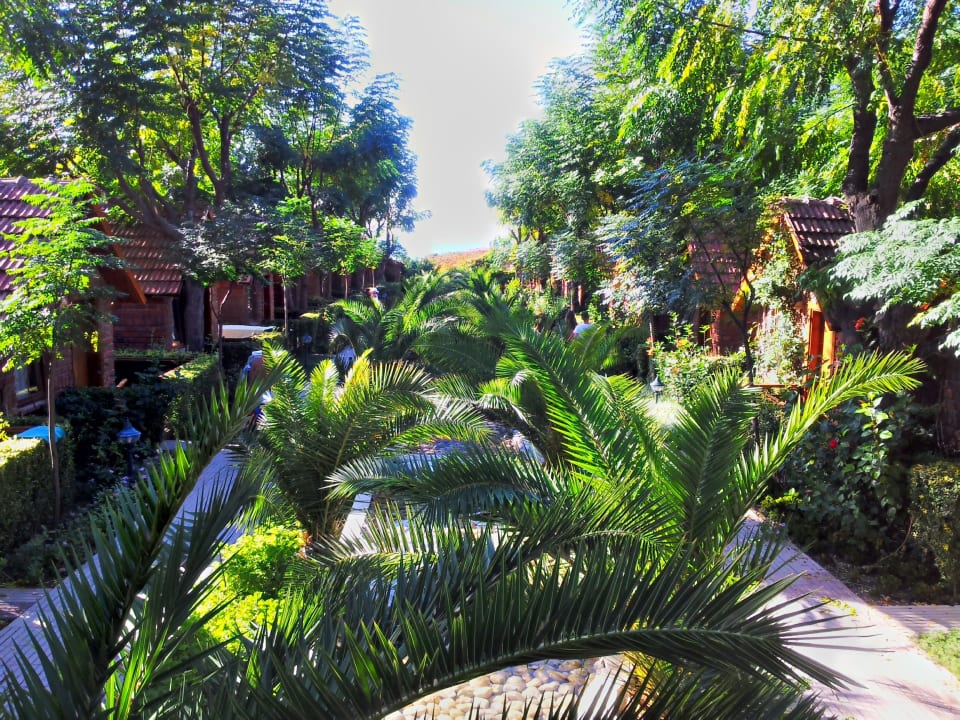 Garten Eden im Okt. 2013 Can Garden Beach