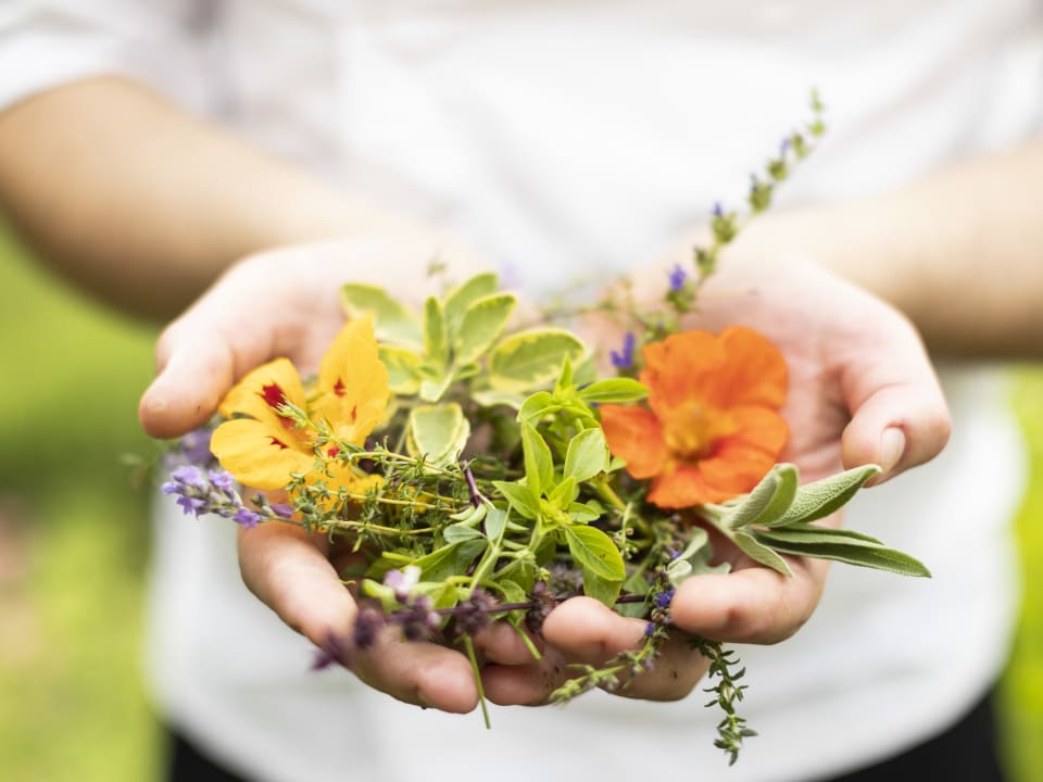 Gastro Theiner's Garten Bio Vitalhotel