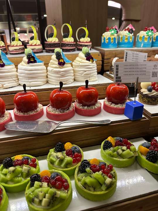 Gastro Delphin BE Grand