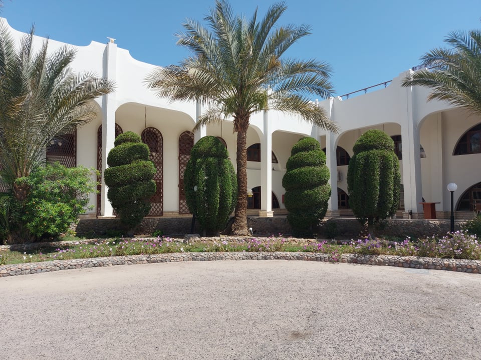 Außenansicht Arabia Azur Resort