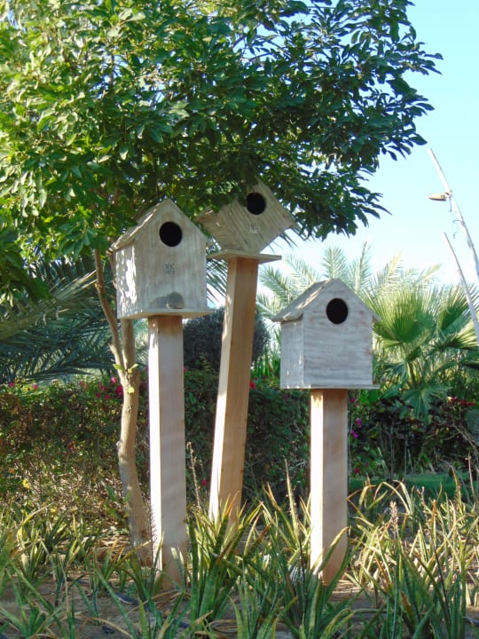 Gartenanlage The Art Hotel & Resort