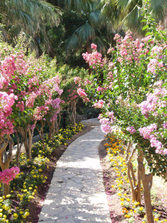 Ein Blumenmeer Melas Holiday Village