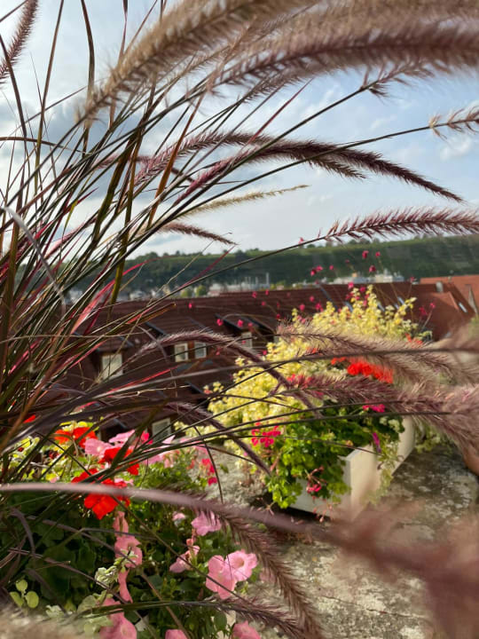 Gartenanlage Hotel am Markt