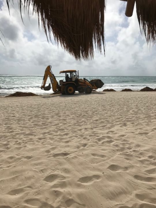 Strand JOIA Paraiso by Iberostar