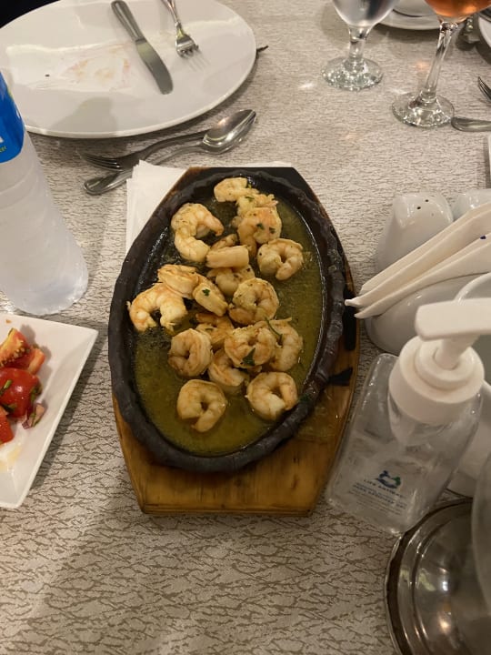Gastro Pickalbatros Palace Resort