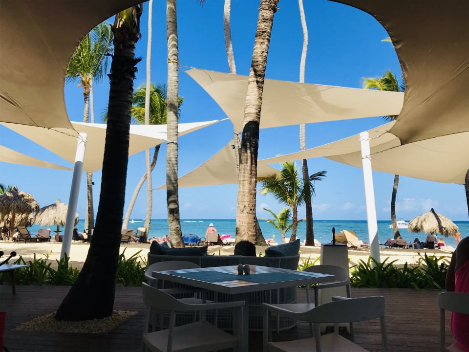 Gastro TRS Turquesa Hotel - Adults only