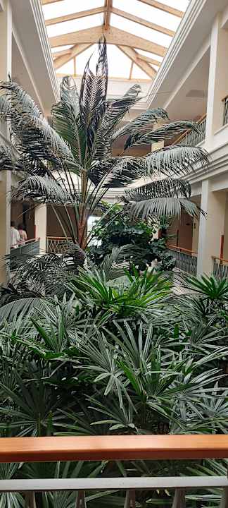 Lobby Valentin Sancti Petri