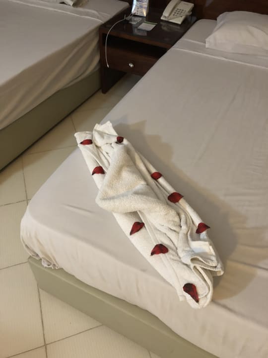 Zimmer Regina Resort and Aqua Park Hurghada