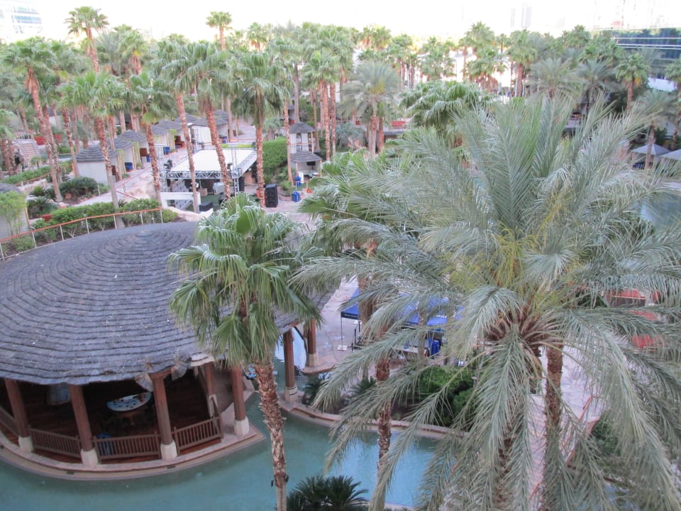 Blick auf Poolanlage Virgin Hotels Las Vegas, Curio Collection by Hilton