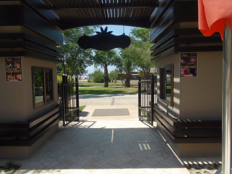 Vom Hotel zum Strand  Aydinbey Kings Palace & Spa