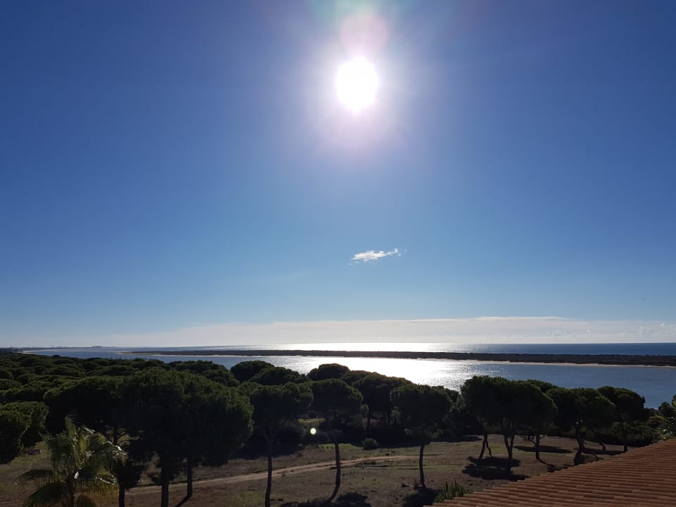 Ausblick Garden Playanatural - Adults only