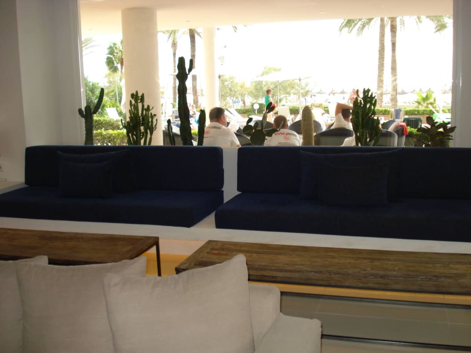 Sehr modern HM Tropical