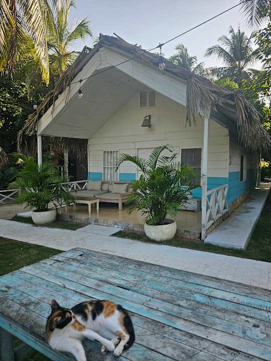 Gartenanlage Fenix Beach Cartagena