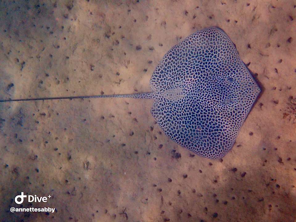 Sonstiges Three Corners Equinox Beach Resort