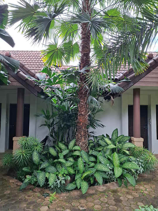 Gartenanlage Laluna Hotel & Resort