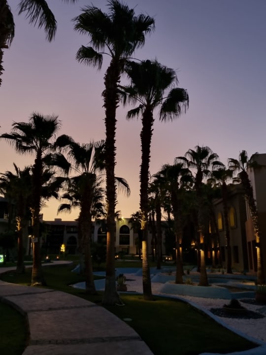Gartenanlage Pickalbatros Sands Hotel - Port Ghalib