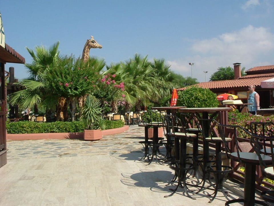 Kleine Tische oberhalb der Showbühne Alba Resort Hotel