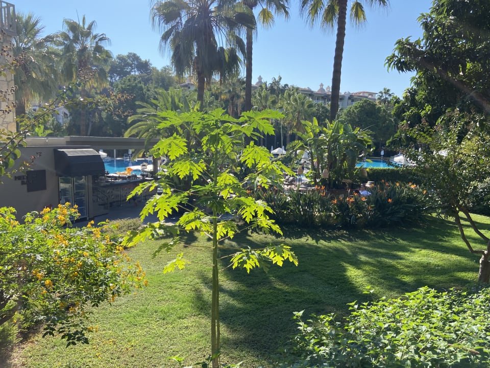 Ausblick Barut Hemera