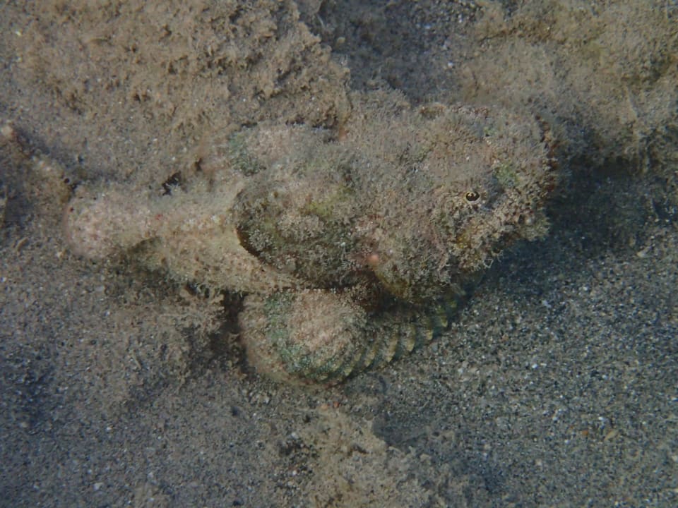 Strand Three Corners Equinox Beach Resort