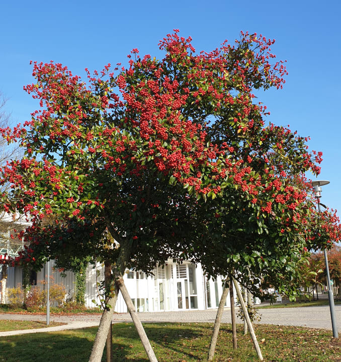 Garten Hotel Hofmark