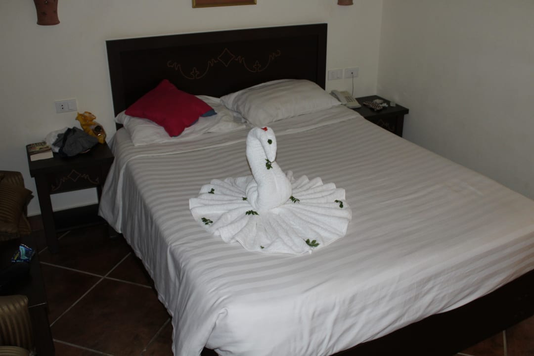 Zimmer Three Corners Sea Beach Resort