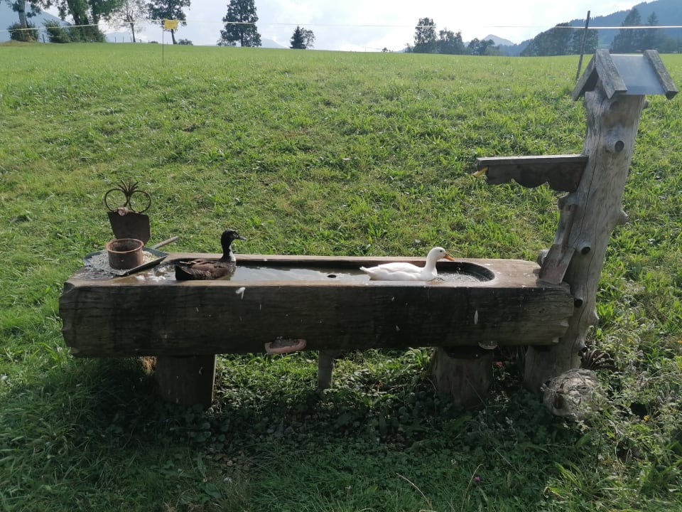 Außenansicht Erbhof Achrainer-Moosen