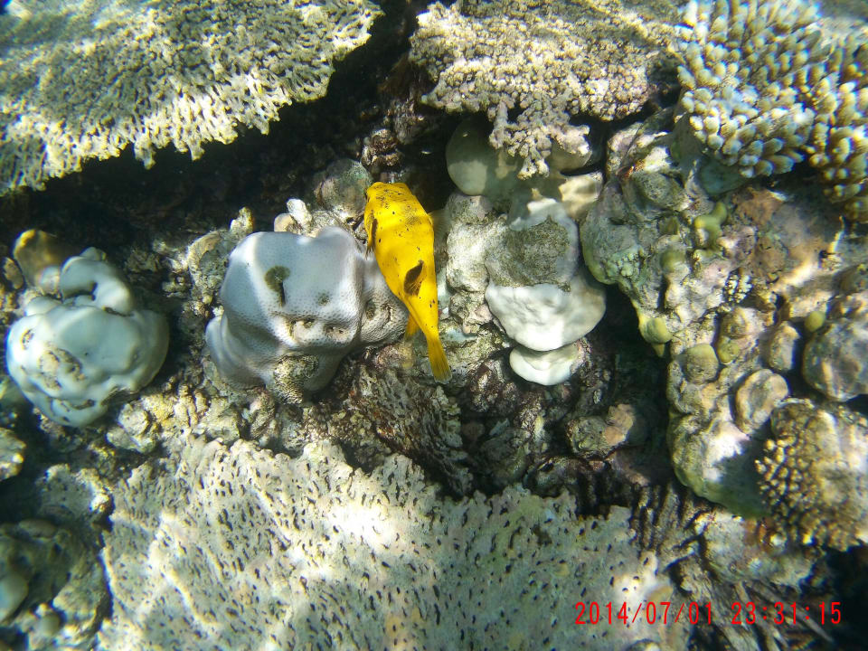 VOI Maayafushi Resort NAKAI Maayafushi Resort