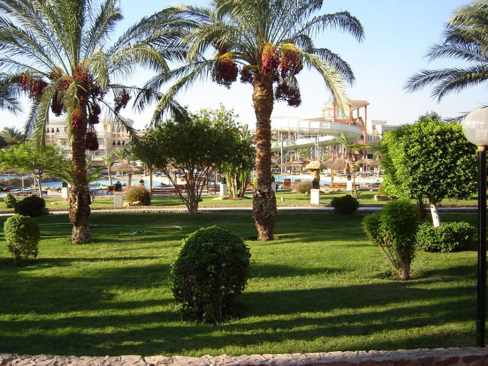 Stukje tuin Beach Albatros Resort