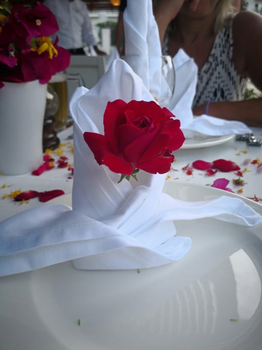 Gastro Selectum Family Comfort Side