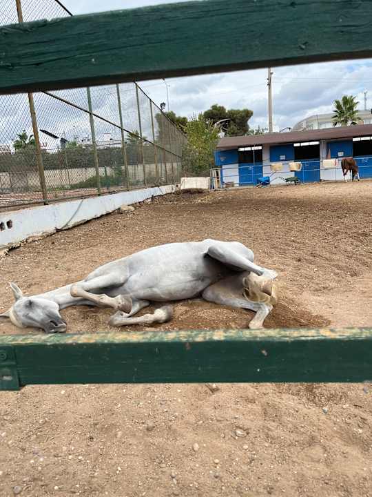 Sport & Freizeit Starlight Resort Hotel