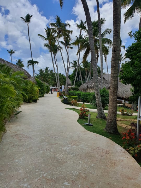 Gartenanlage Hotel Viva Dominicus Beach by Wyndham - All Inclusive Resort