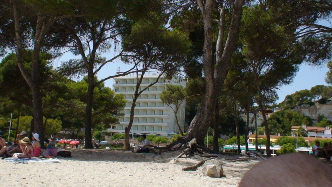 Das Hotel vom Strand aus gesehen Artiem Audax