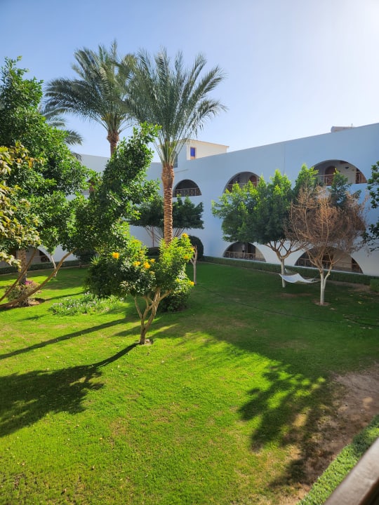 Gartenanlage Desert Rose