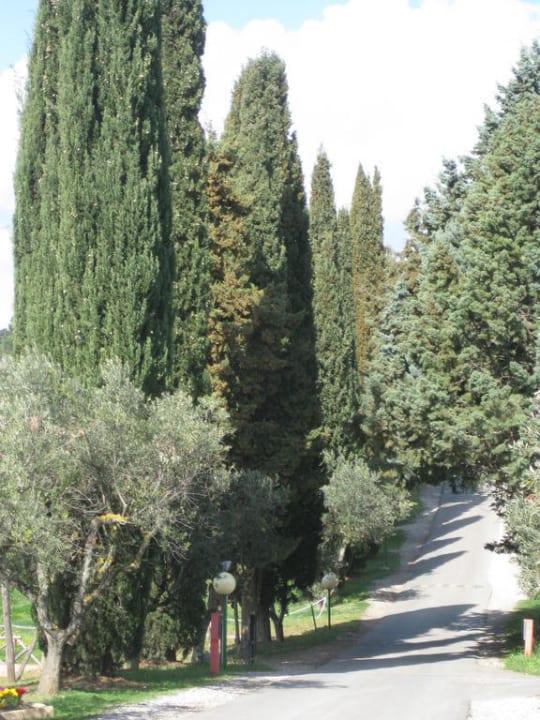 Einfahrt Il Pelagone Hotel & Golf Resort Toscana