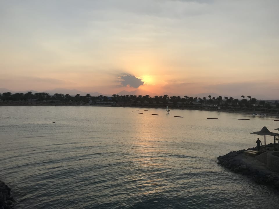 Ausblick Desert Rose