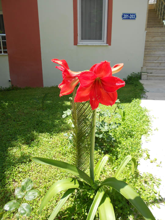 Top gepflegt. Hotel Sirma