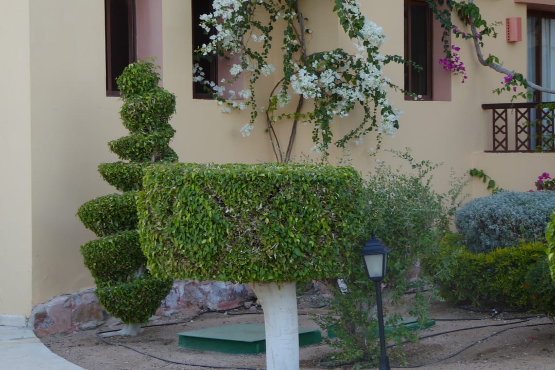 Sonstiges Steigenberger Coraya Beach - Adults only