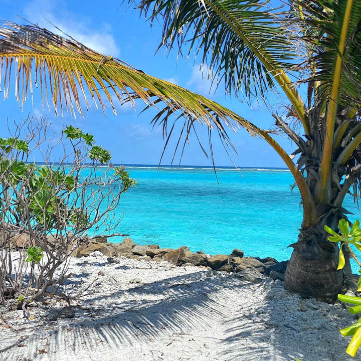 Strand Summer Island Maldives