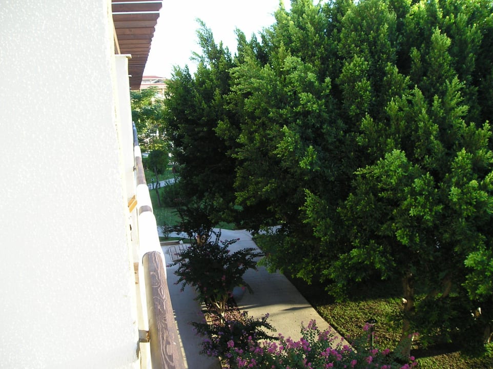 Uitzicht balkon Marvida Family Eco